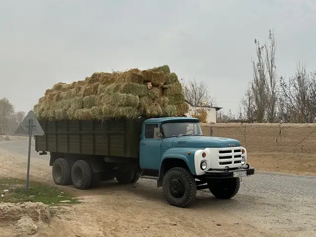Бортовой грузовик Зил, 1991, Бохтар (Курғон-Теппа)