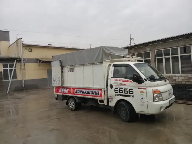 Услуги грузоперевозки, Душанбе