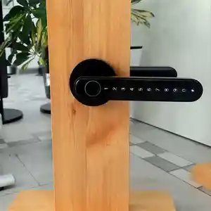 Замок межкомнатный Tuya c bluetooth, Хуҷанд