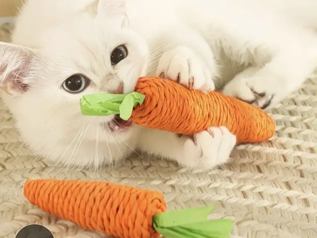 Игрушка для кошек с мятой, Худжанд