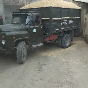 Кахи гандум, Душанбе