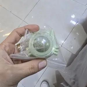 Кошачья мята, Душанбе
