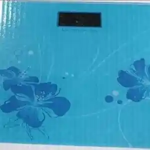 Весы, Душанбе