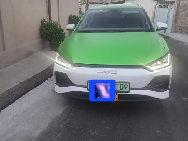 BYD B2