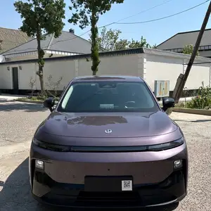 Leapmotor B10