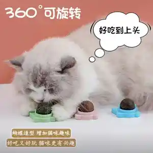 Шариковая мята для кошек, Худжанд