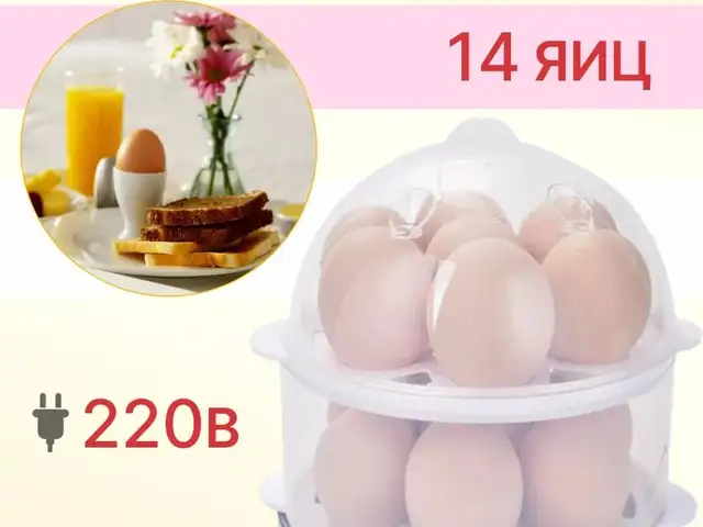 Яйцеварка электрическая, Хуҷанд