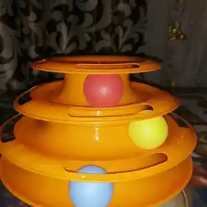 Игрушка для кошек, Душанбе