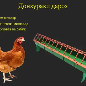 Кормушка/Донхураки дароз почадор, Душанбе