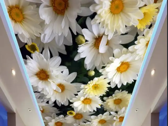 Натяжные потолки на заказ, Душанбе