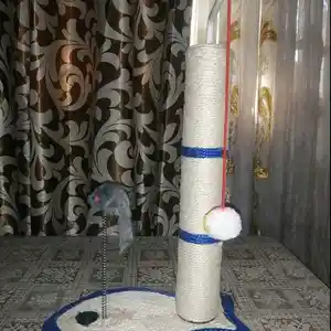 Когтеточка для кошек, Душанбе