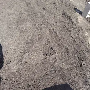 Биогомус, Гиссар