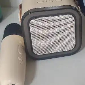 Колонка с микрофоном, Душанбе