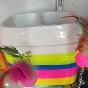 Чашки для кошек, Худжанд