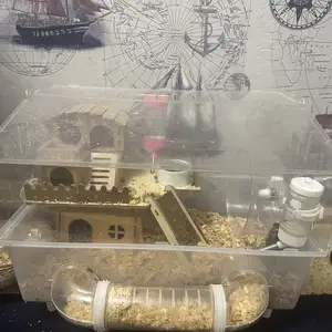 Хомячки джунгарские, Душанбе