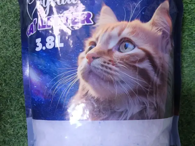 Наполнитель для кошек, Худжанд
