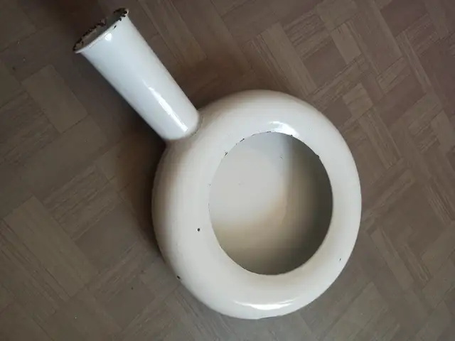 Медицинская утка, Душанбе