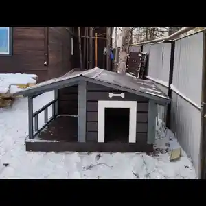 Будка для собак, Душанбе