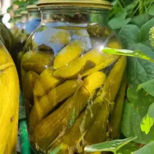 Маринованные огурцы на заказ, Хуҷанд
