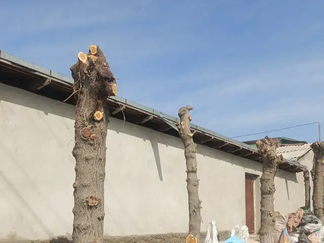 Услуги штукатурщика, Истаравшан