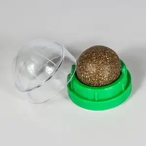 Кошачья мята, Душанбе