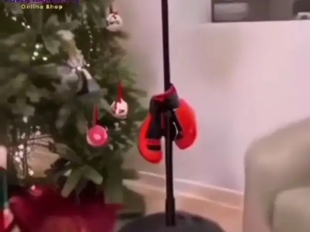 Груша, Худжанд