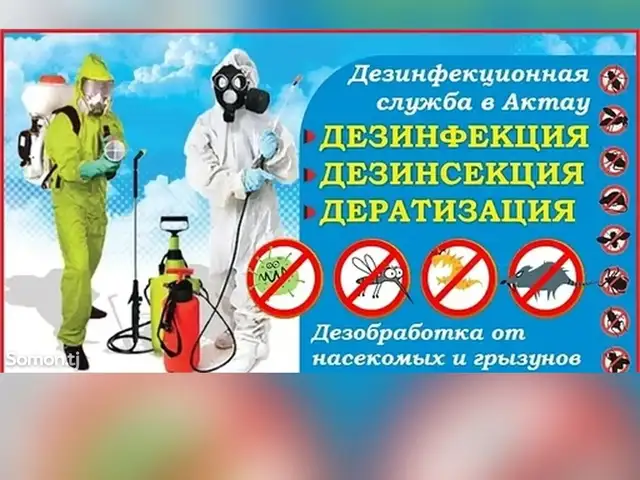 Услуги дезинсектора, Душанбе