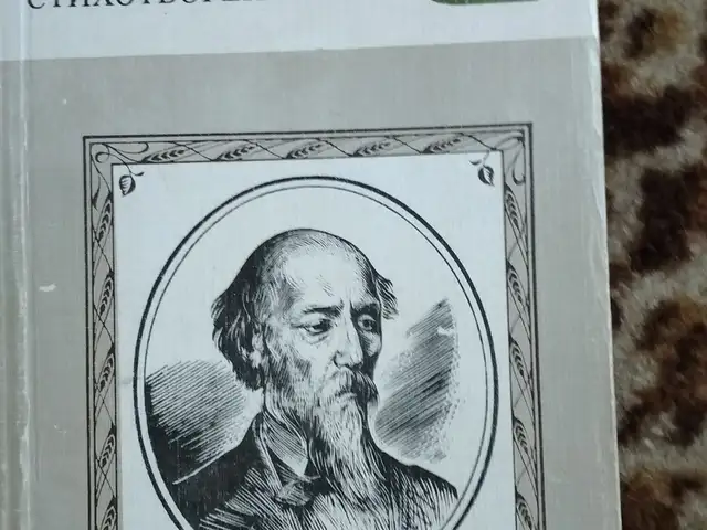 Книга Н. А. Некрасов Стихотворения, Худжанд