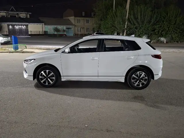 BYD E2