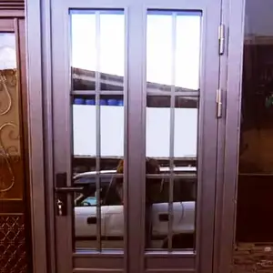 Дархои шишагин, Душанбе