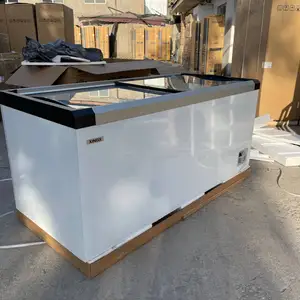 Витринный морозильный шкаф XINGX 710, Душанбе