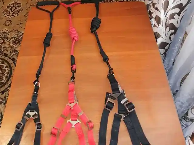 Шлейки для собак и кошек, Душанбе
