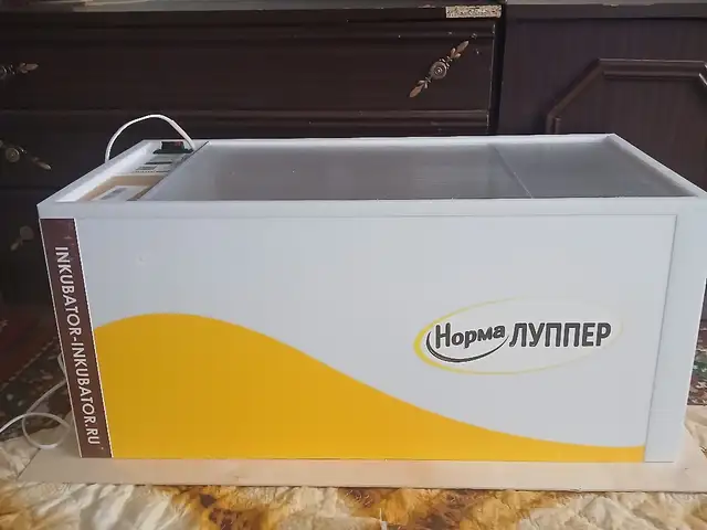 Инкубатор, Худжанд