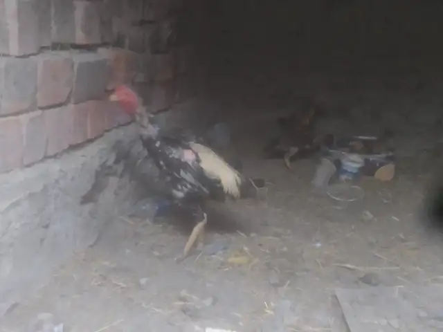 Дакан, Бобоҷон Ғафуров