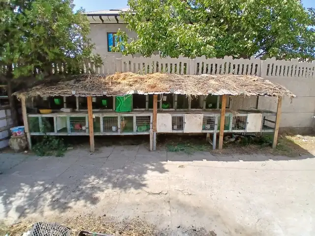 Клетка барои Харгуш, Шаҳринав