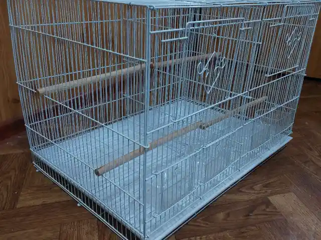 Клетка для птиц, Душанбе
