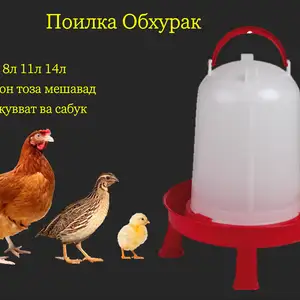 Поилка/Обхураки почадор, Душанбе