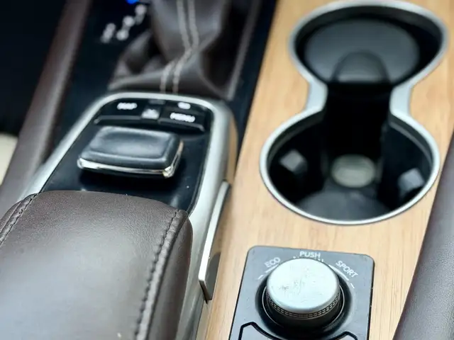 Lexus RX series, 2017, Душанбе - 8