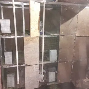 Кафас барои харгуш, Канибадам