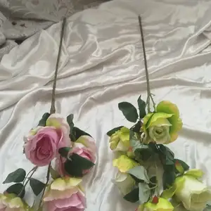 Цветы, Худжанд