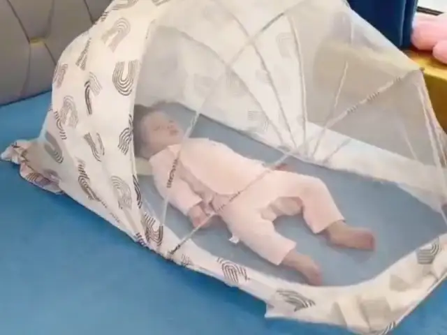 Пашшахона детский, Худжанд