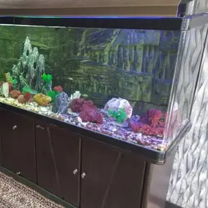 Аквариум Jebo, Душанбе
