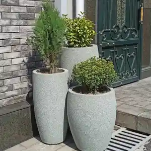 Гулдон, Душанбе