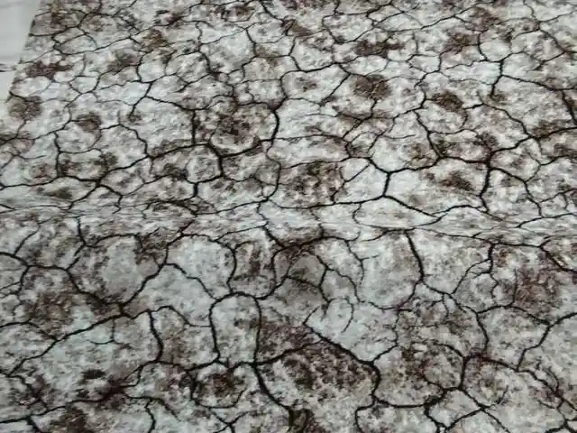 Ковёр/Колин, Душанбе