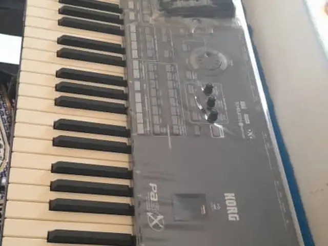 Синтезатор Korg pa 3x.76, Рудаки