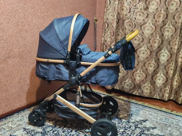 Коляска, Душанбе