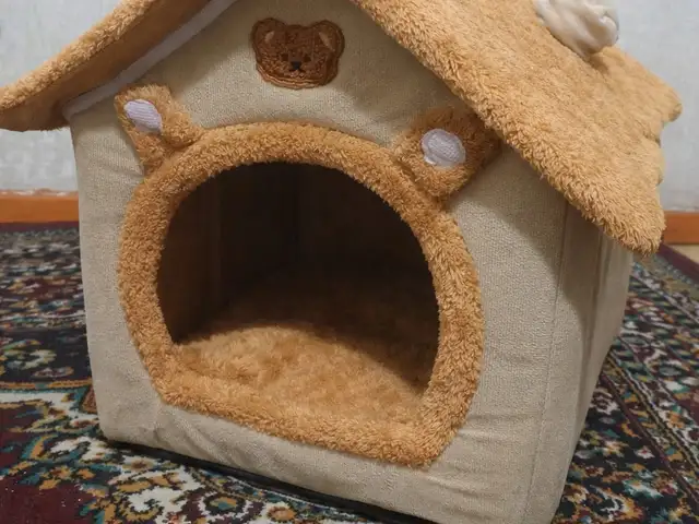 Домик с медвежонком, Душанбе