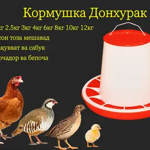 Кормушка/Донхураки мурғ чуҷа кабк бройлер, Душанбе