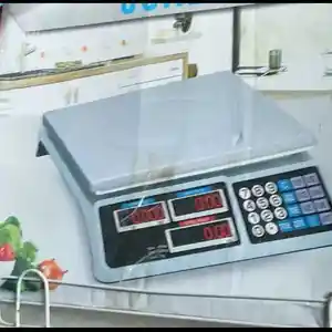 Весы, Душанбе