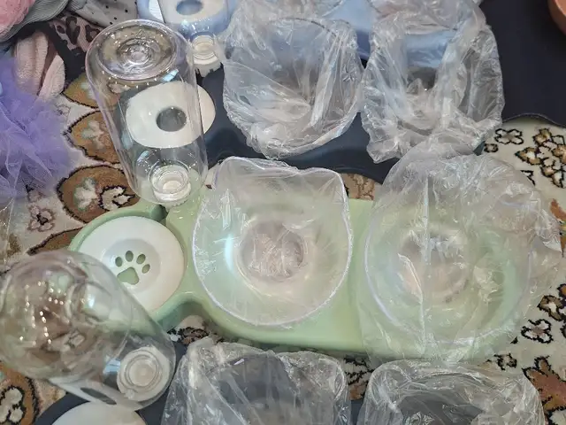 Миски для кошек, Хуҷанд